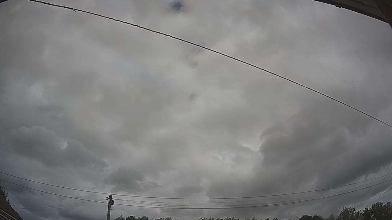 20260805_133003_cam2.jpg