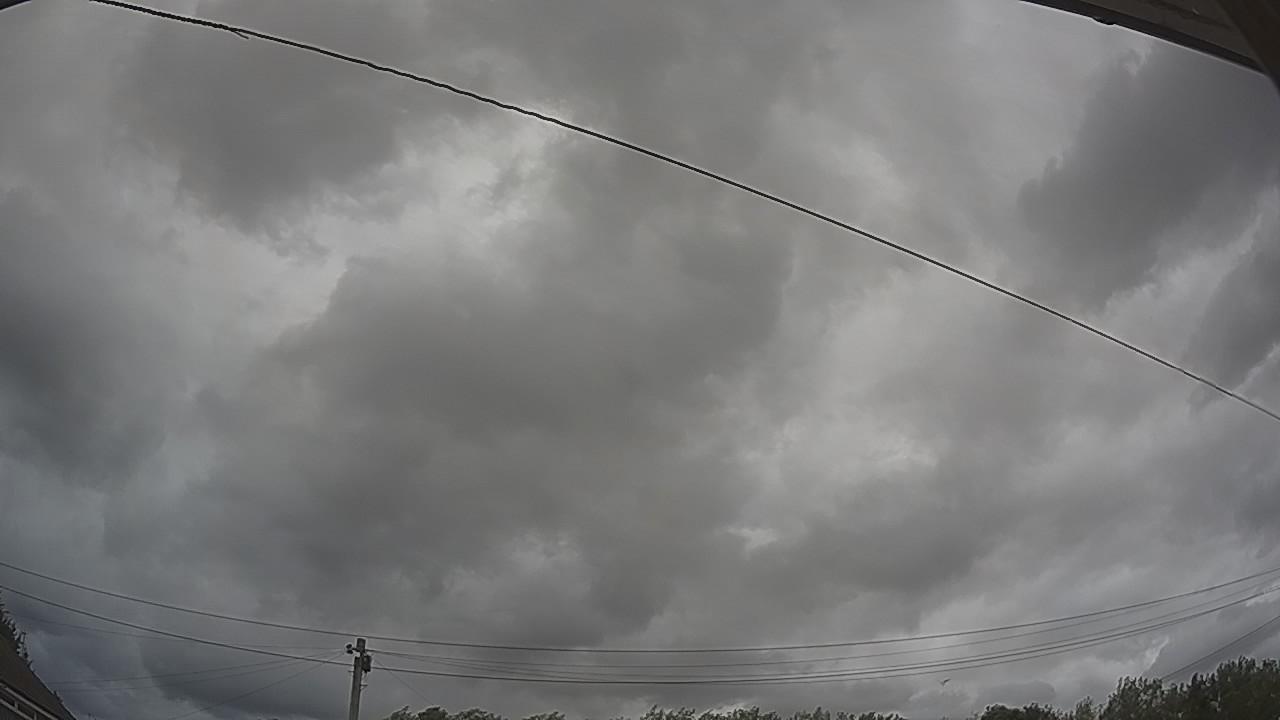 20260805_133426_cam2.jpg