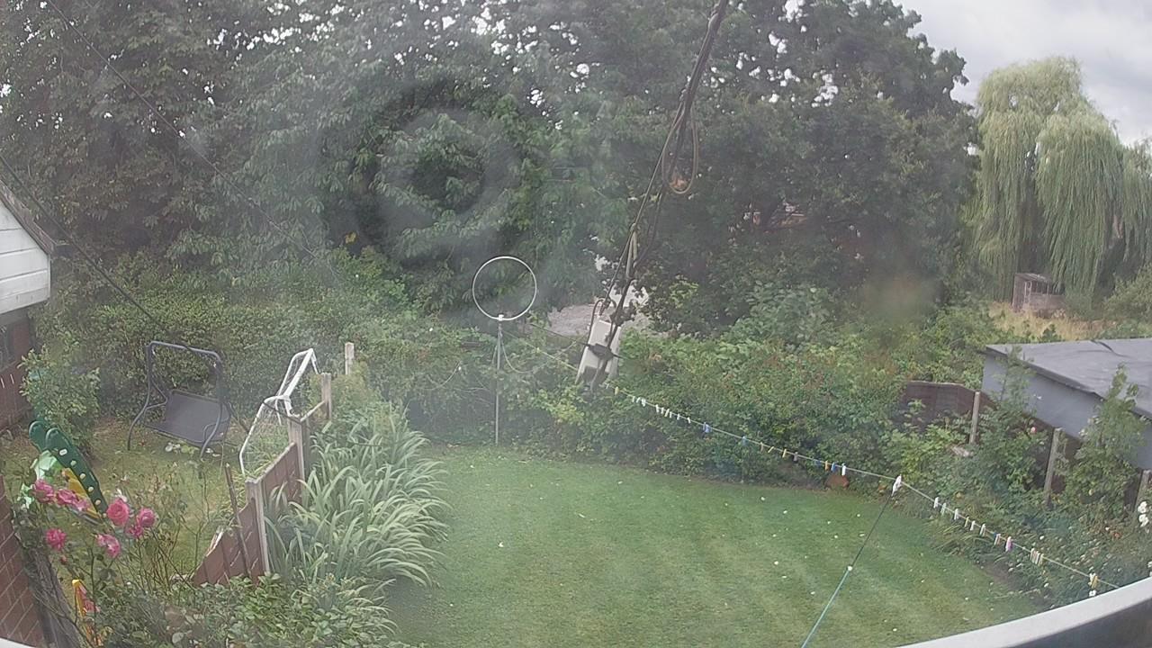 20260805_133637_cam1.jpg