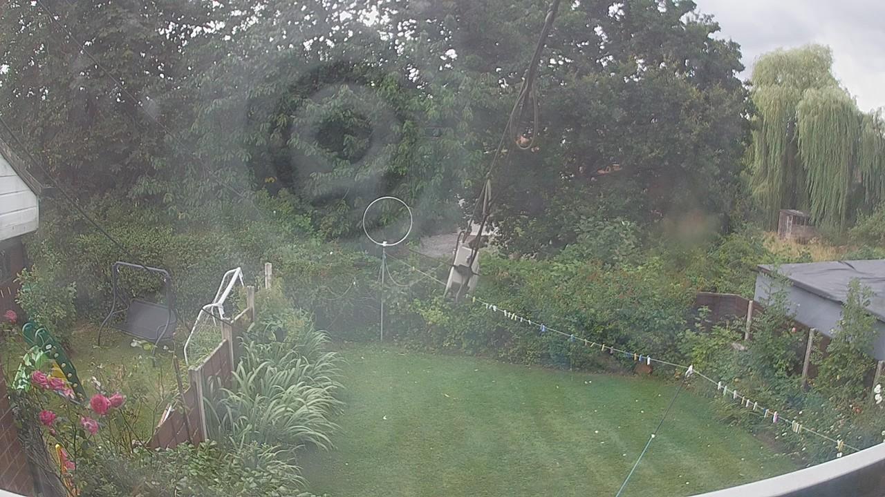 20260805_133848_cam1.jpg