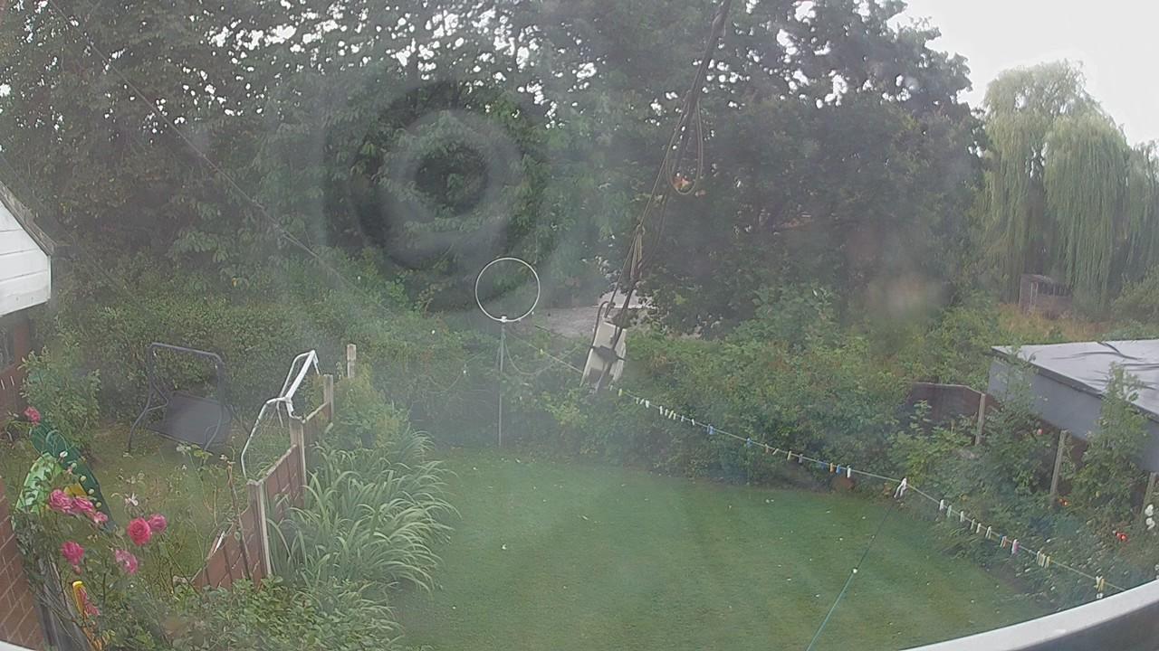 20260805_134523_cam1.jpg