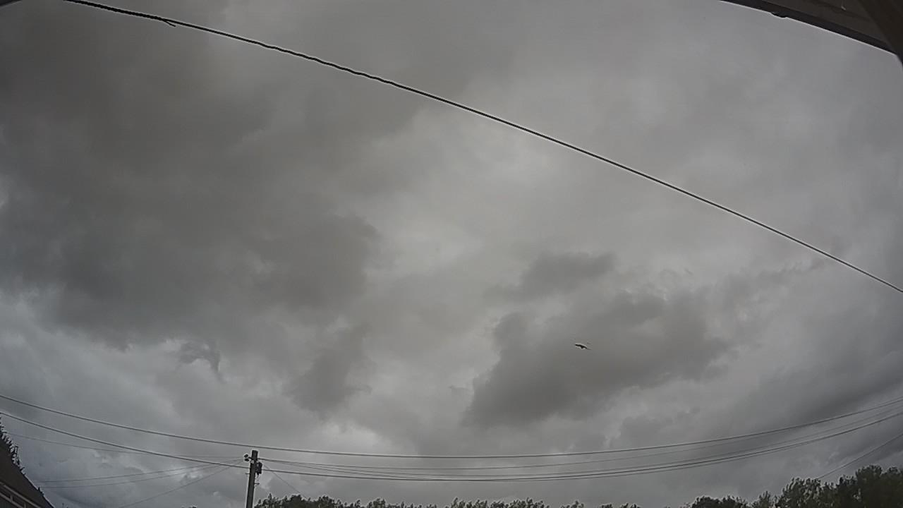 20260805_135833_cam2.jpg