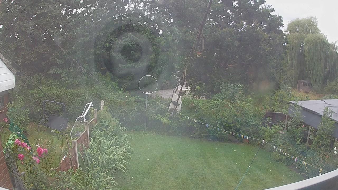 20260805_141606_cam1.jpg