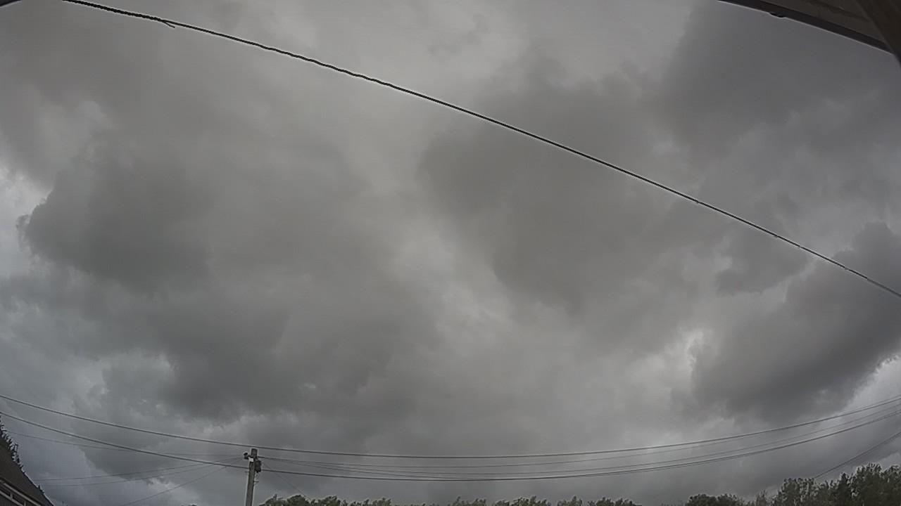 20260805_142031_cam2.jpg