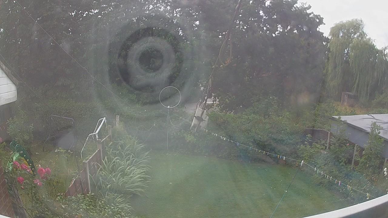 20260805_143155_cam1.jpg