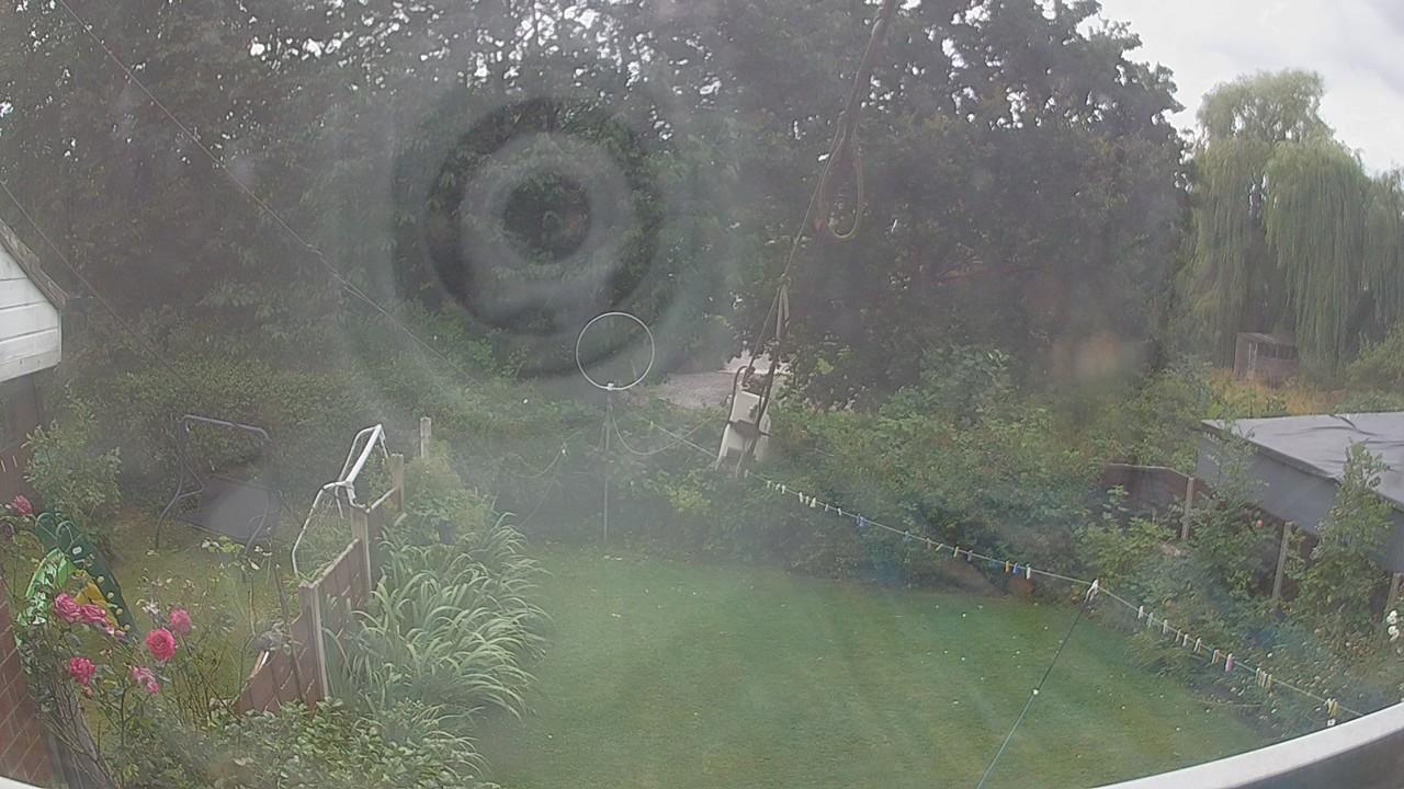 20260805_143856_cam1.jpg