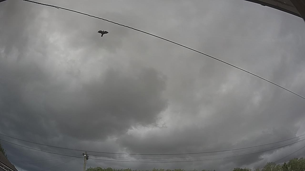 20260805_144118_cam2.jpg