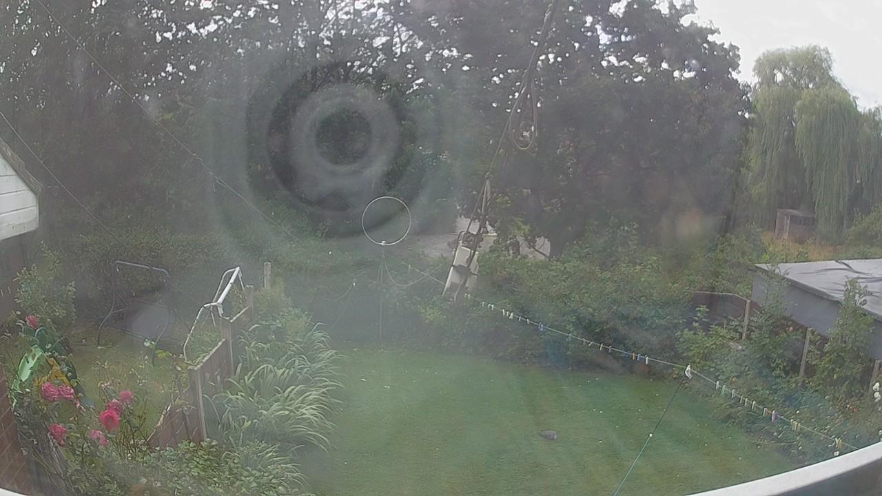 20260805_144558_cam1.jpg