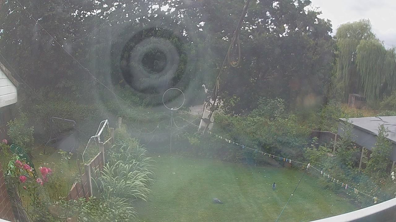 20260805_145039_cam1.jpg