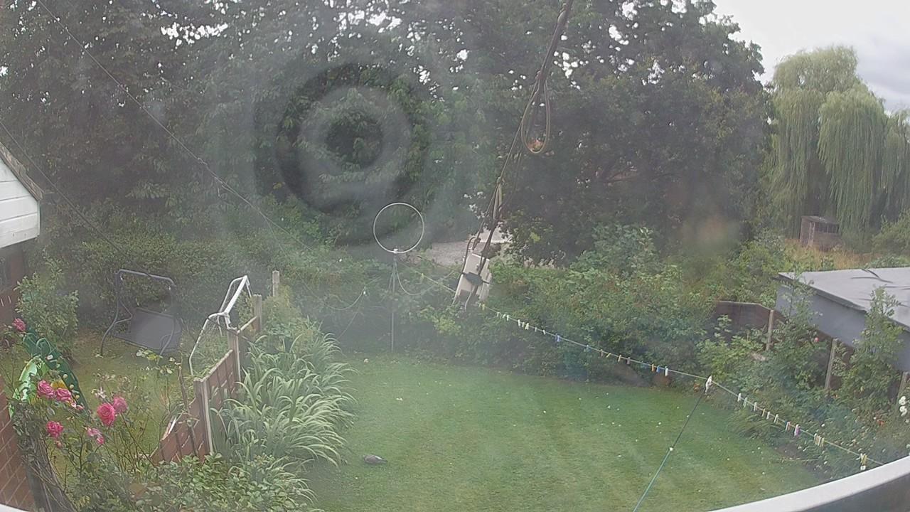 20260805_145300_cam1.jpg