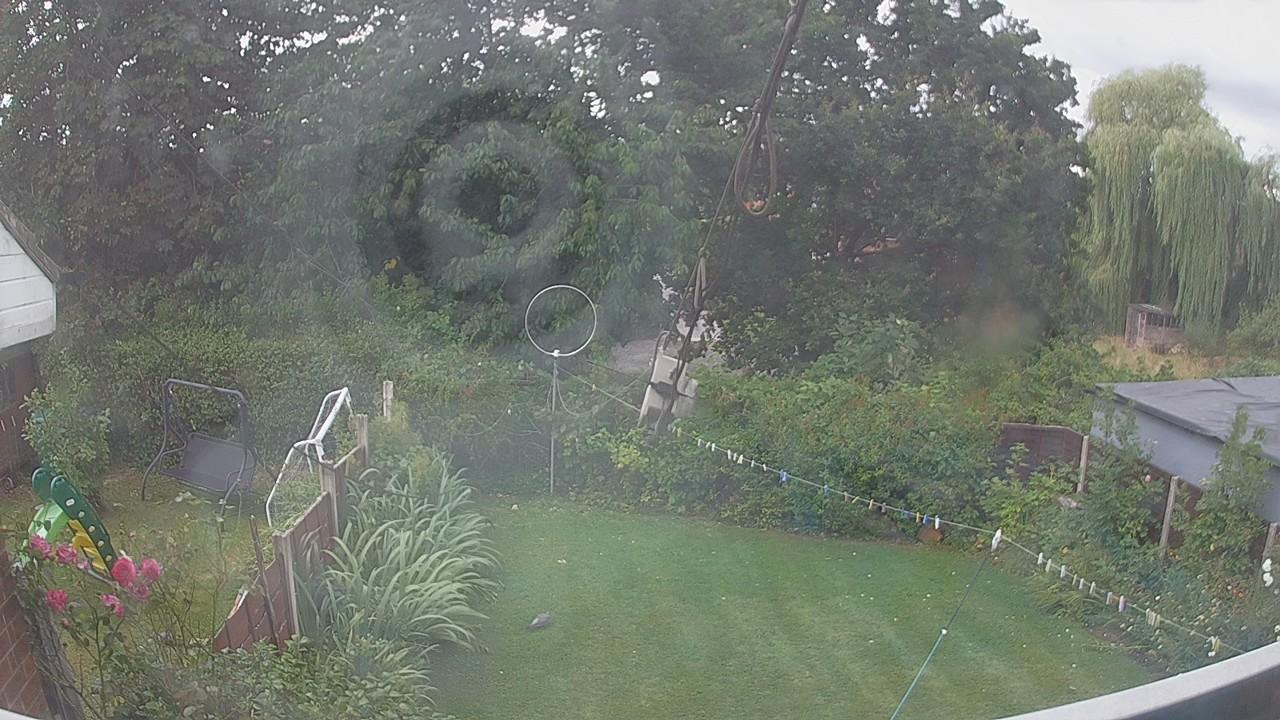 20260805_145801_cam1.jpg