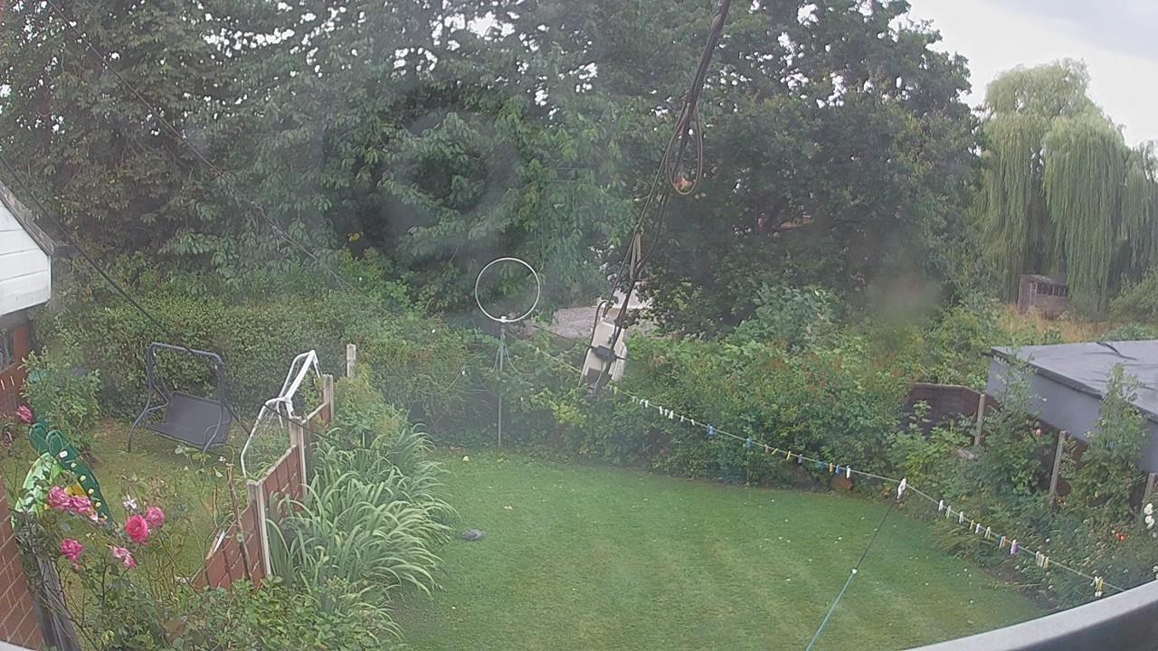 20260805_150041_cam1.jpg
