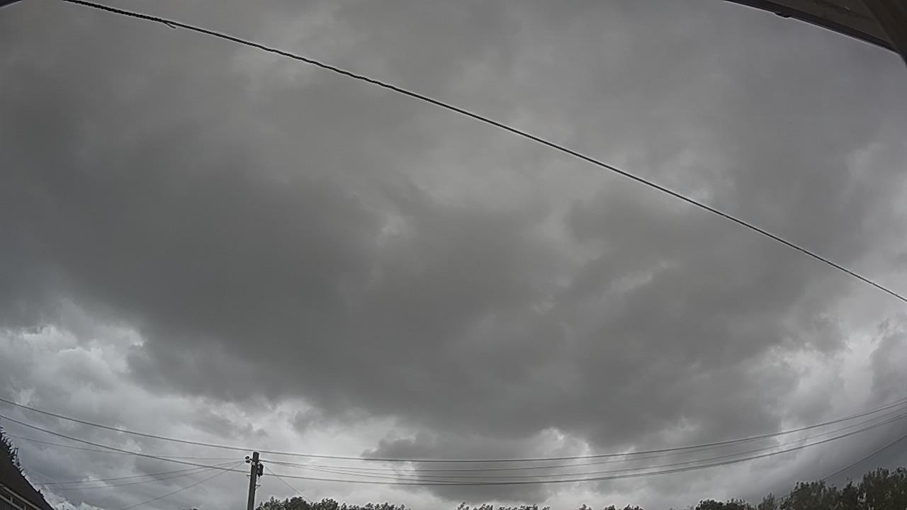 20260805_150600_cam2.jpg