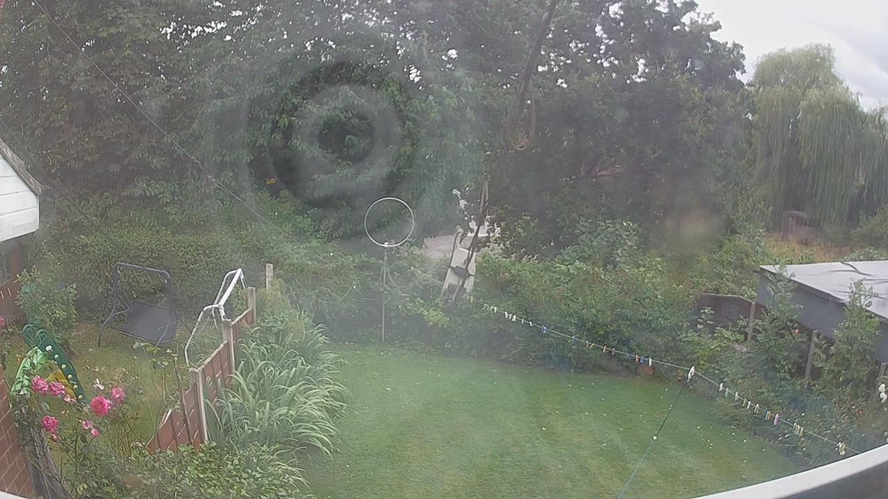 20260805_151118_cam1.jpg
