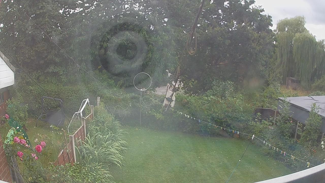 20260805_151916_cam1.jpg