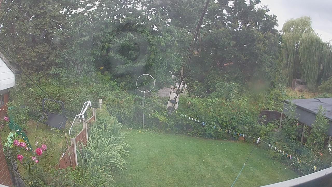 20260805_152917_cam1.jpg