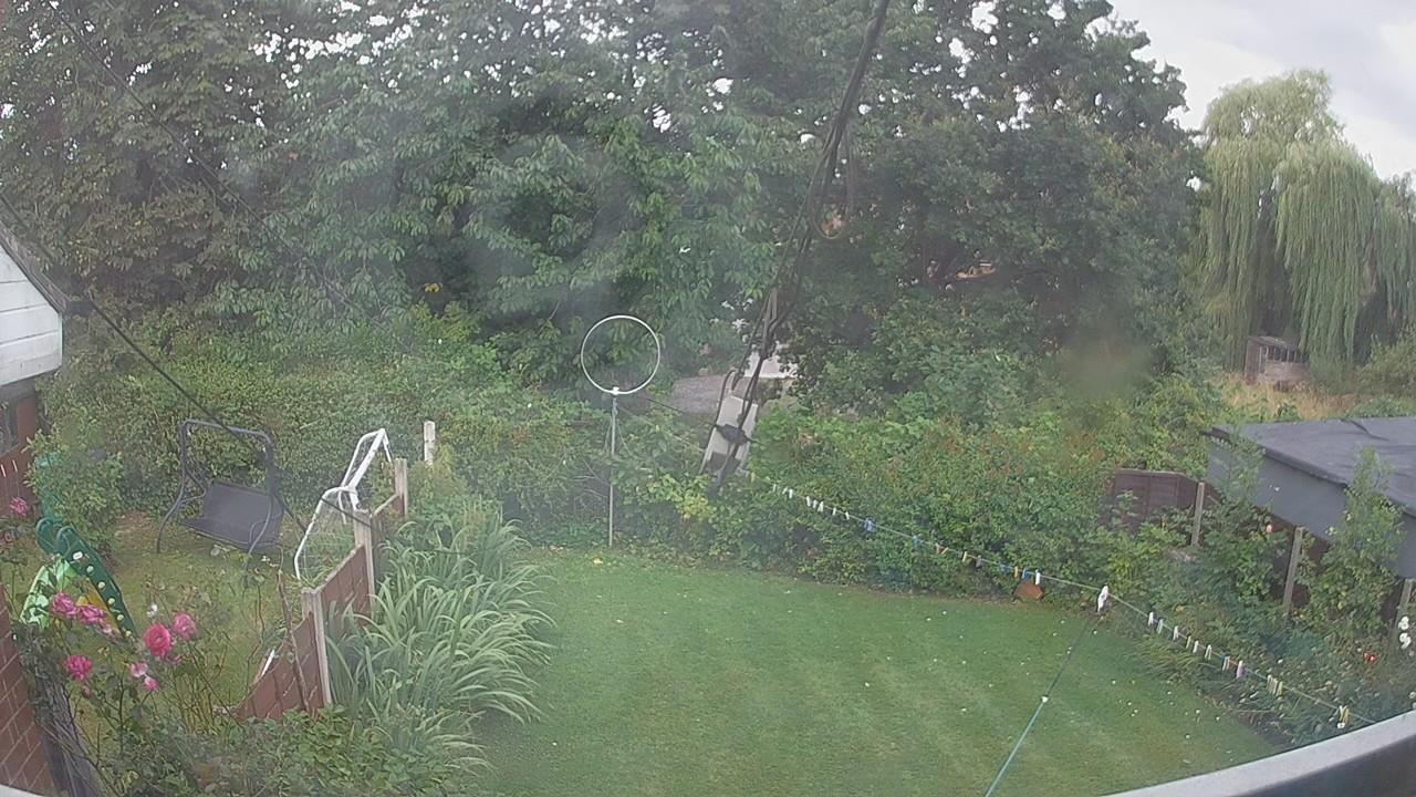 20260805_153138_cam1.jpg
