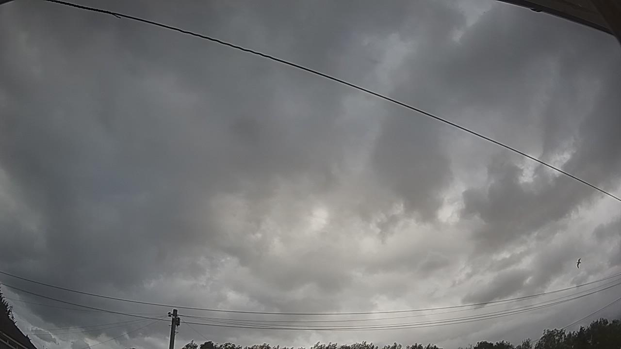 20260805_153400_cam2.jpg