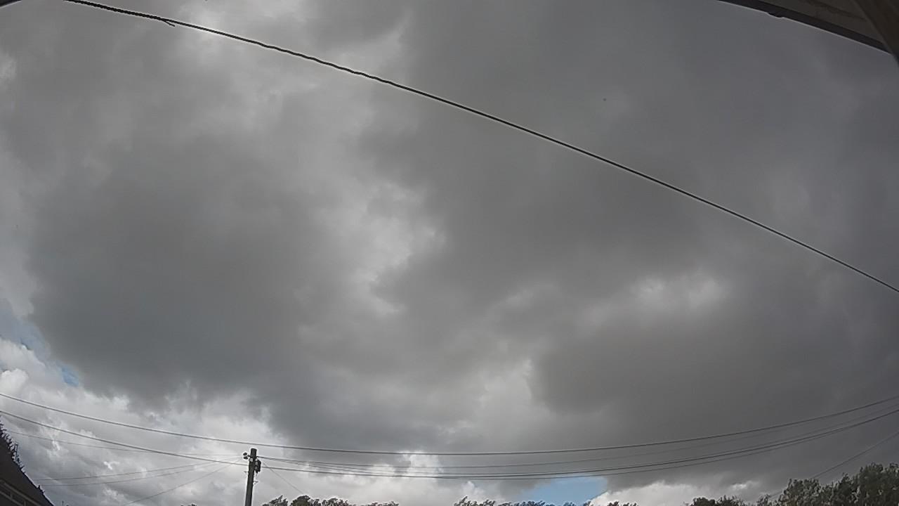 20260805_155249_cam2.jpg
