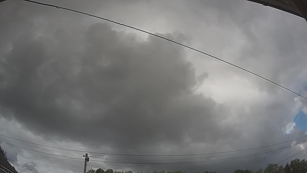20260805_161137_cam2.jpg