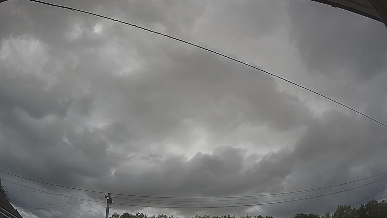 20260805_161619_cam2.jpg