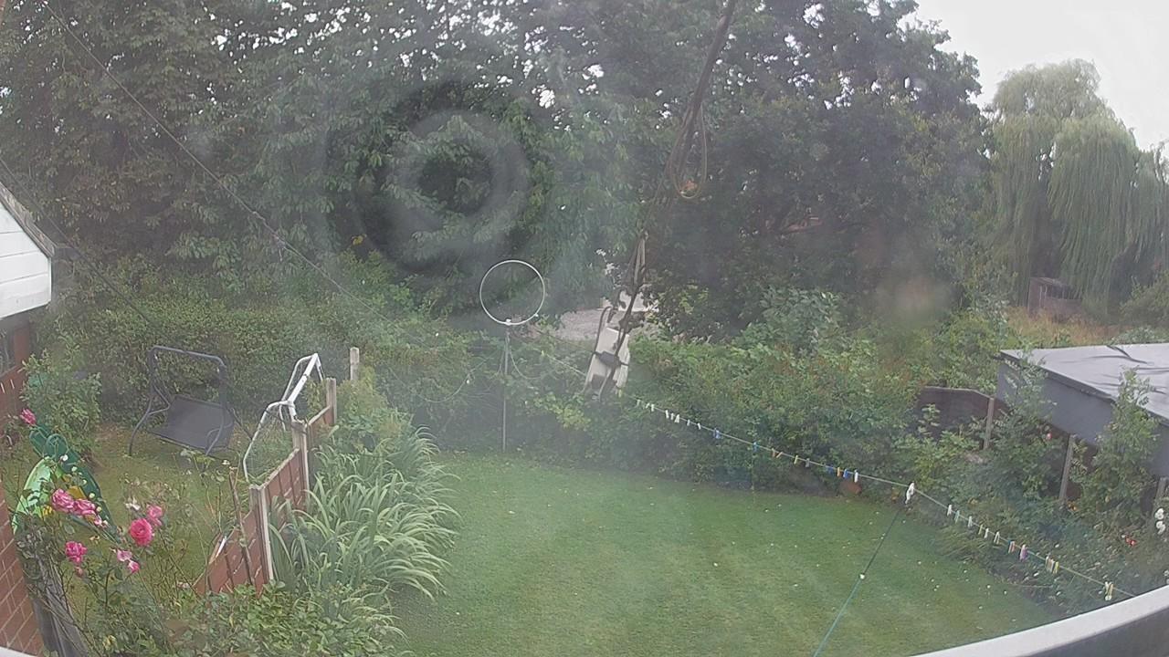20260805_161839_cam1.jpg