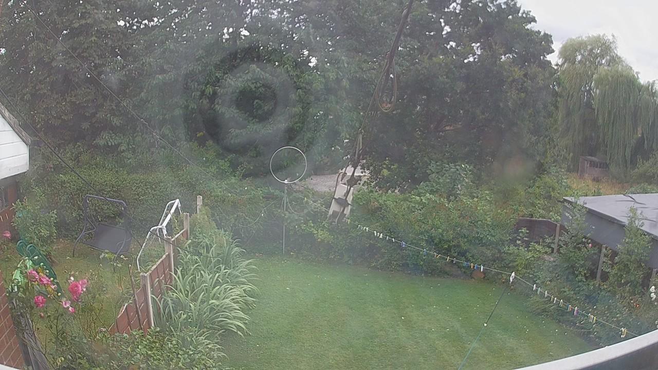 20260805_162100_cam1.jpg