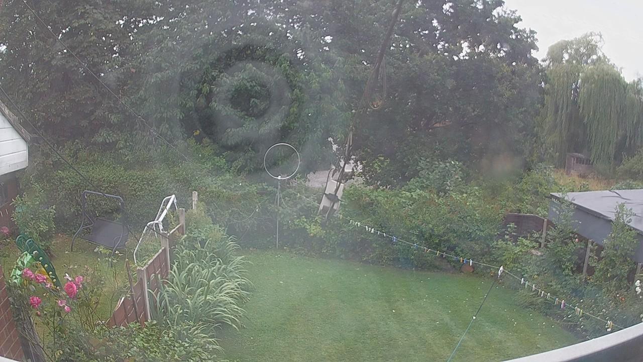 20260805_162542_cam1.jpg