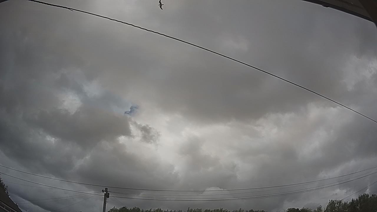 20260805_162543_cam2.jpg