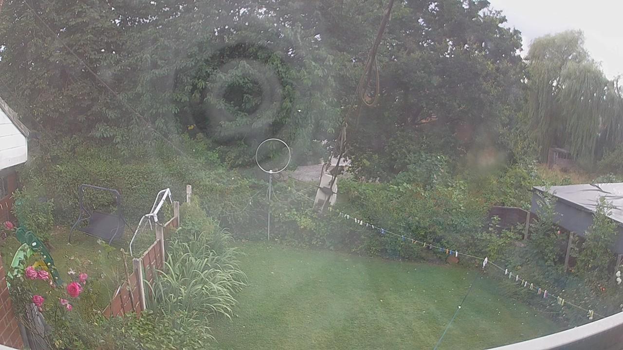 20260805_163810_cam1.jpg