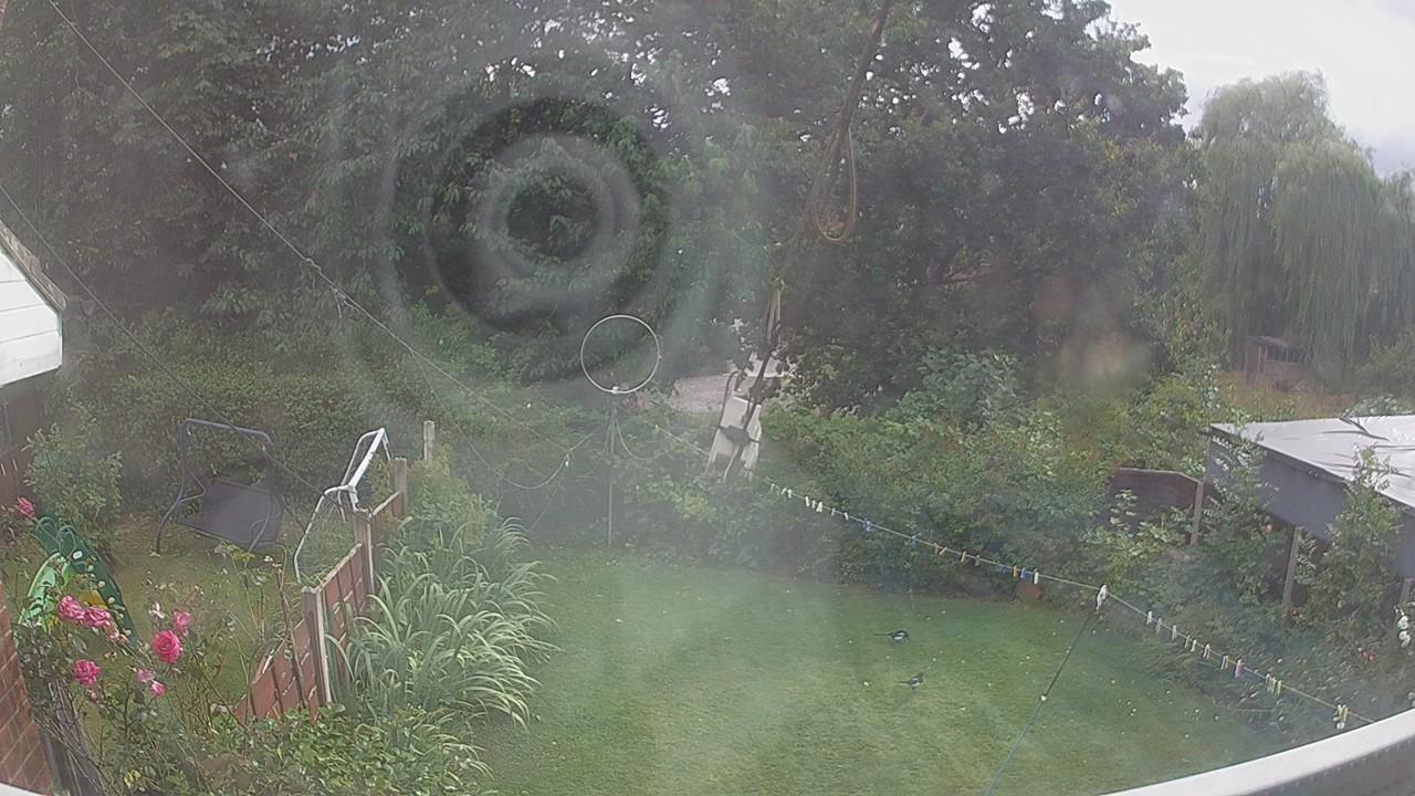 20260805_164538_cam1.jpg