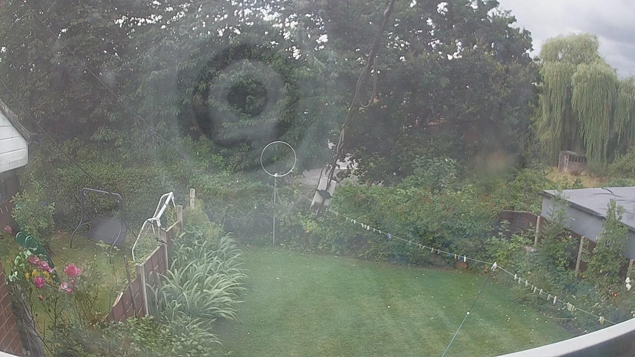 20260805_165036_cam1.jpg