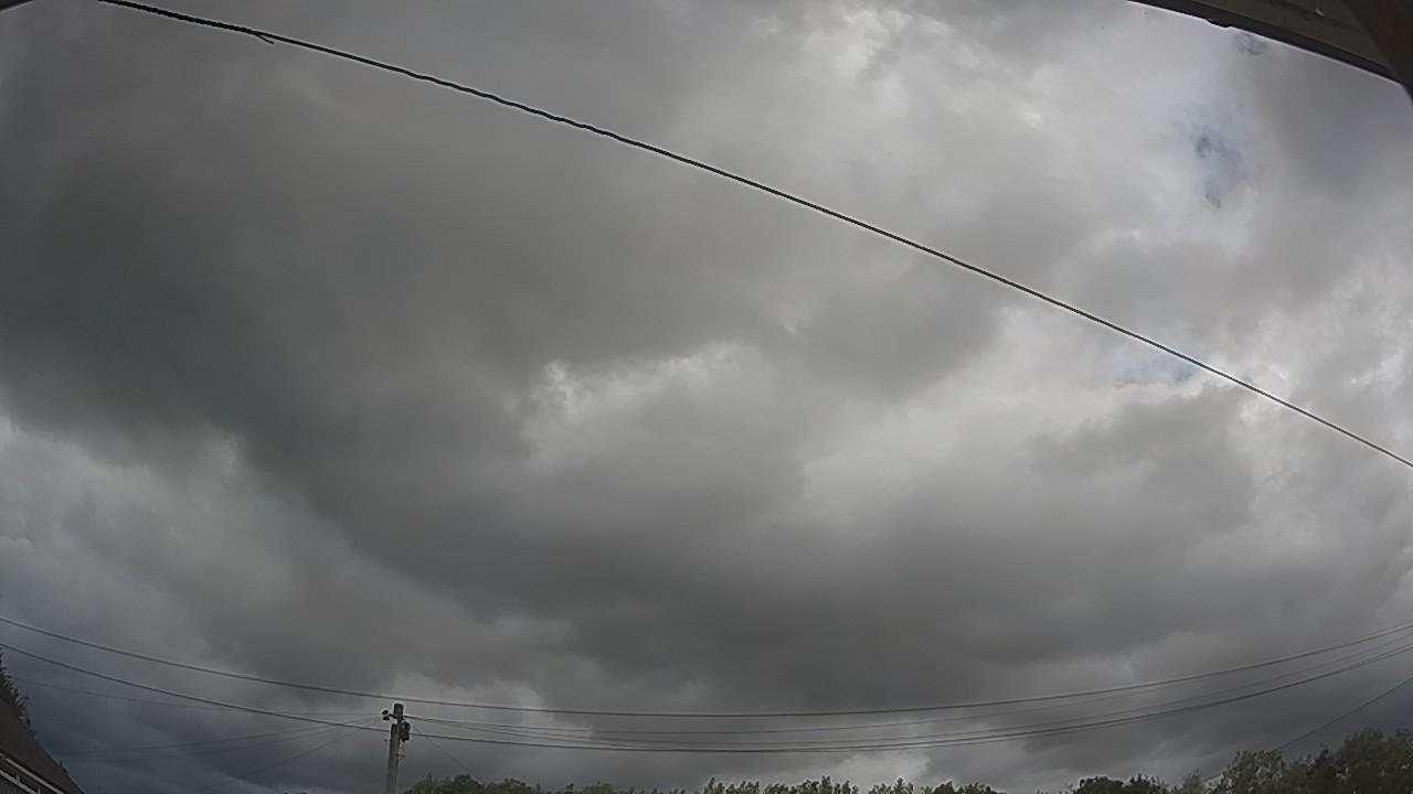 20260805_165037_cam2.jpg