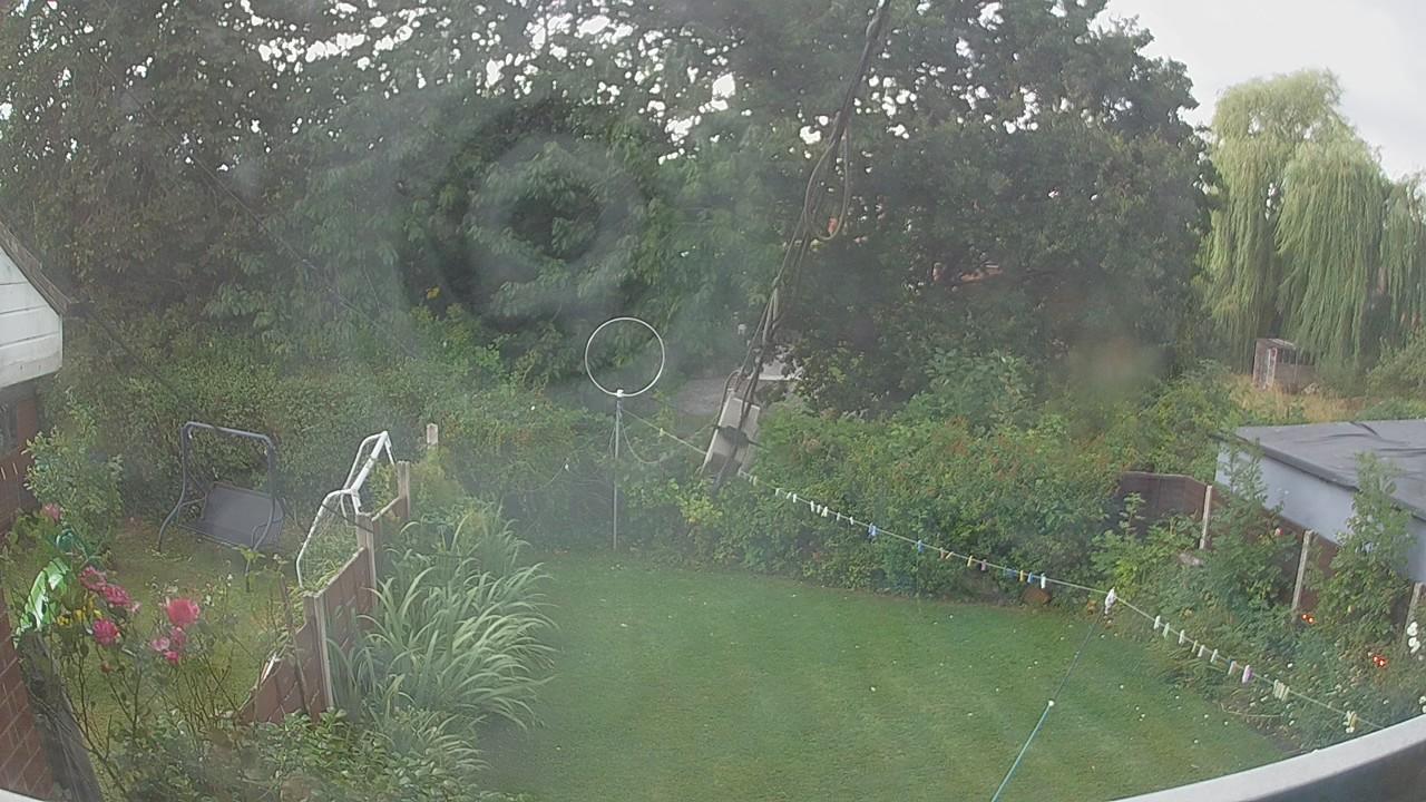 20260805_165535_cam1.jpg