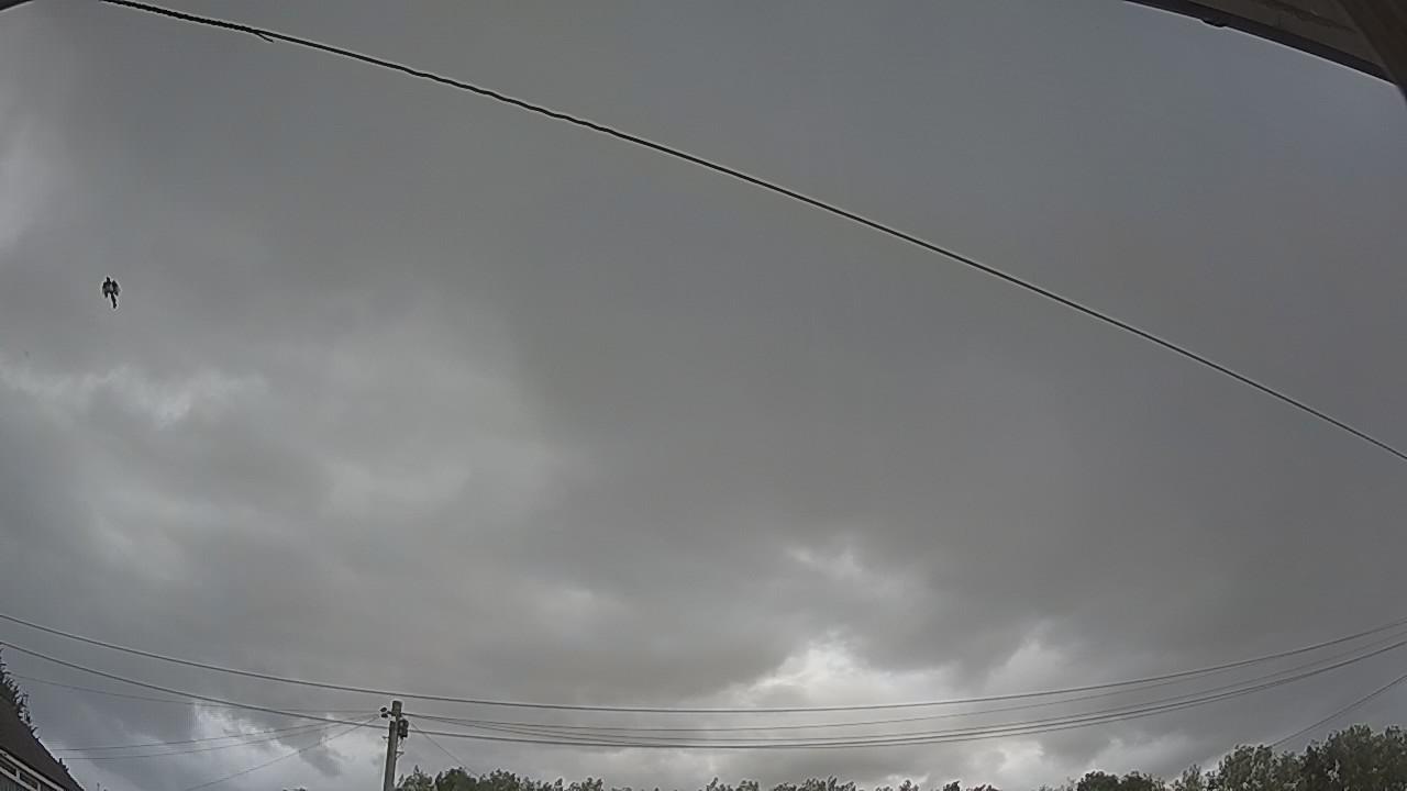 20260805_165814_cam2.jpg