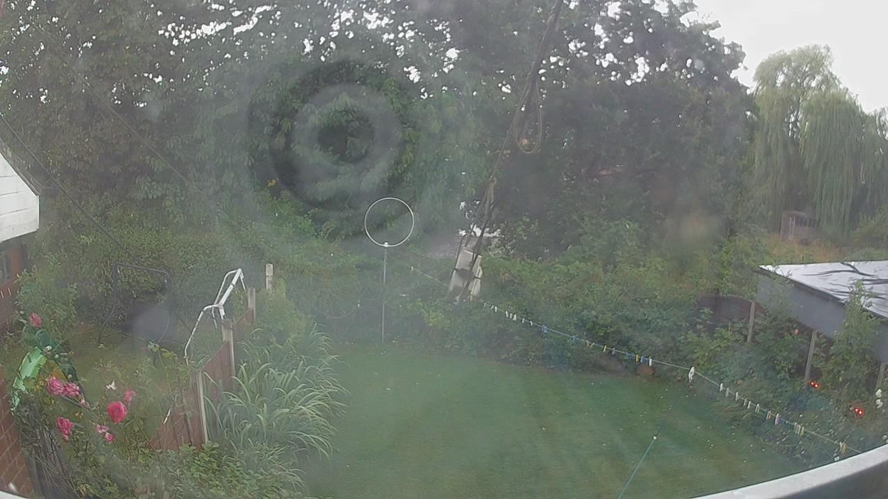 20260805_170331_cam1.jpg