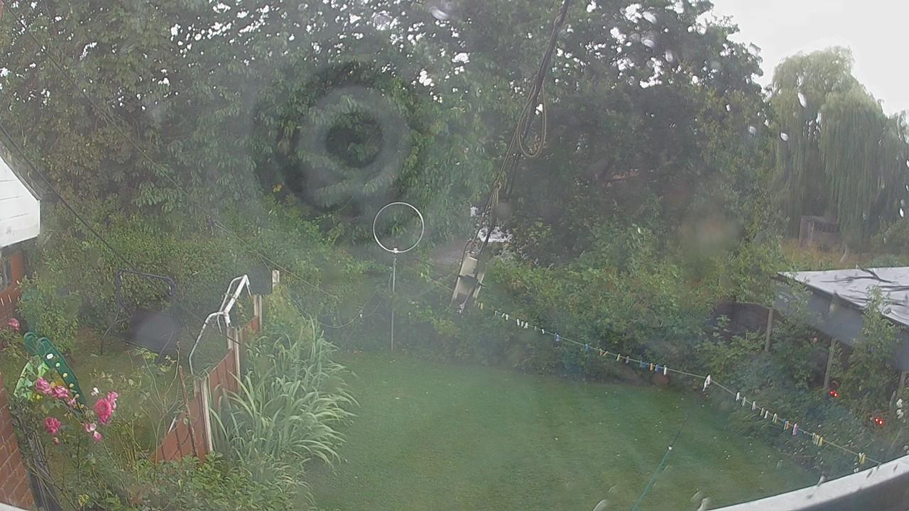 20260805_170609_cam1.jpg