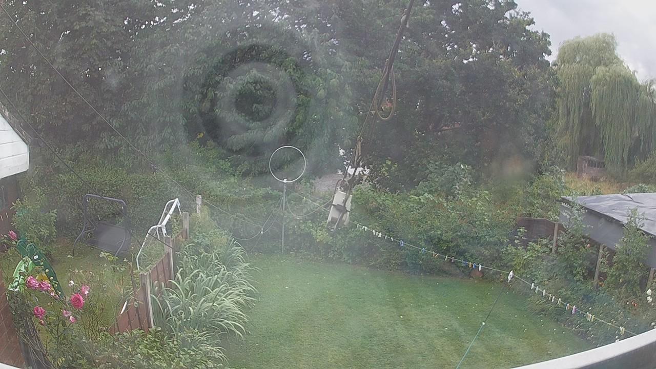 20260805_172204_cam1.jpg