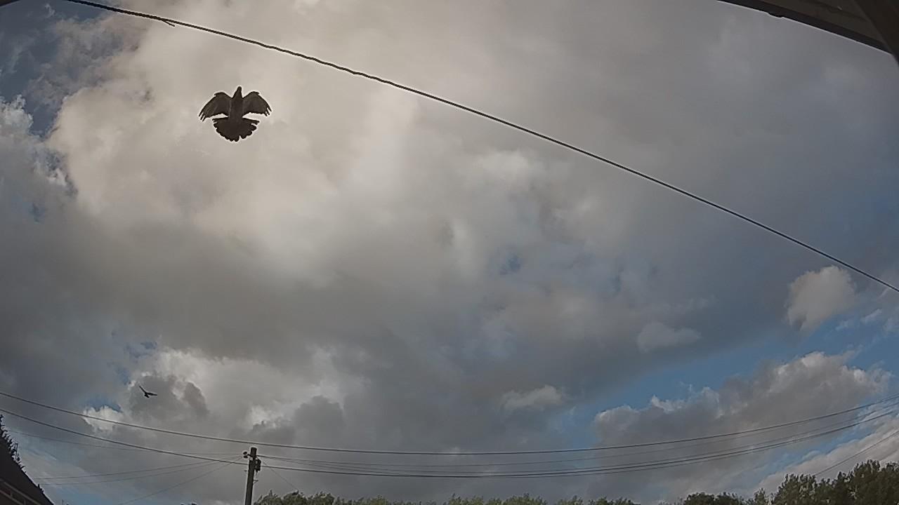 20260805_173059_cam2.jpg