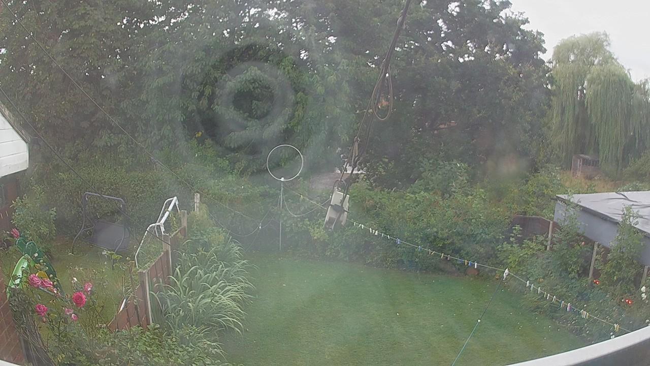 20260805_175550_cam1.jpg