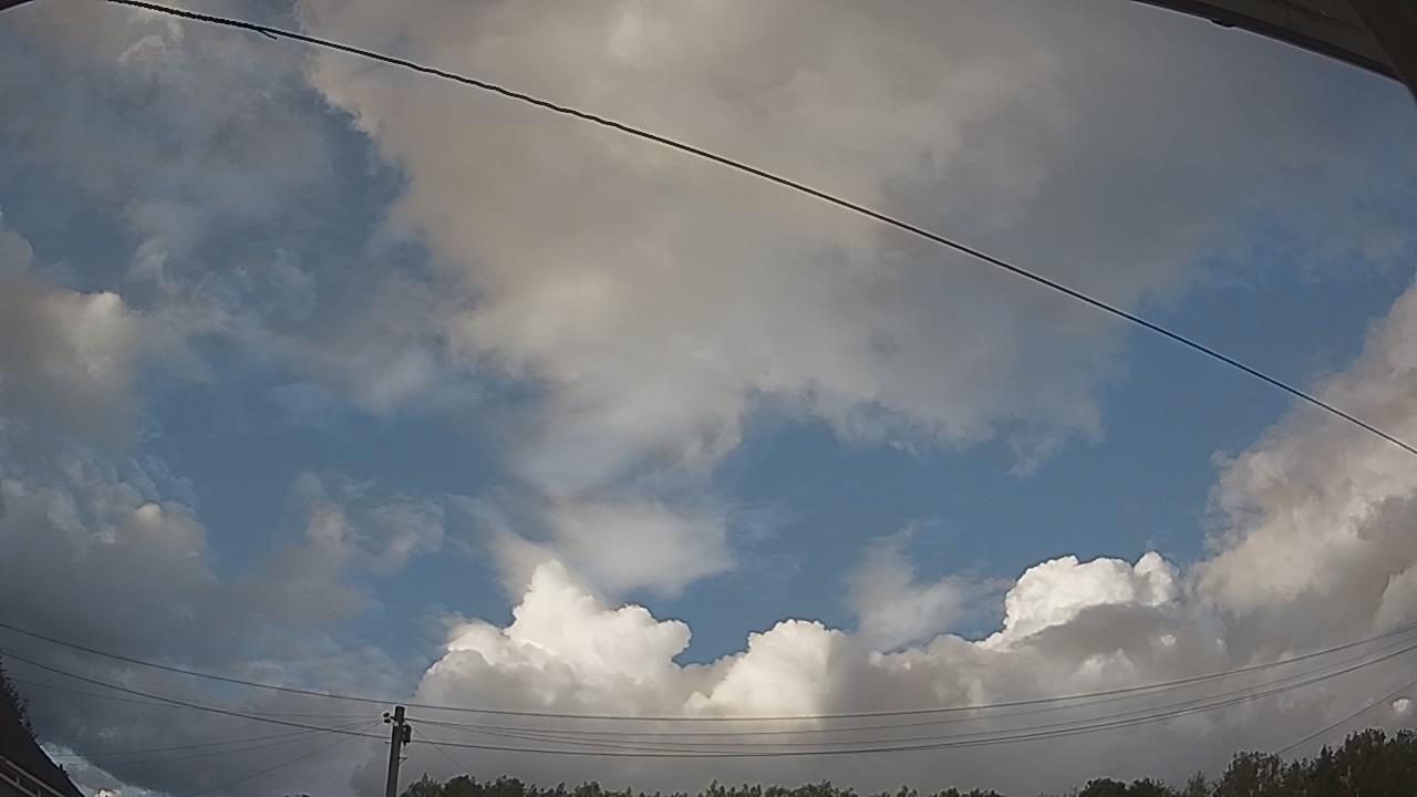 20260805_183000_cam2.jpg