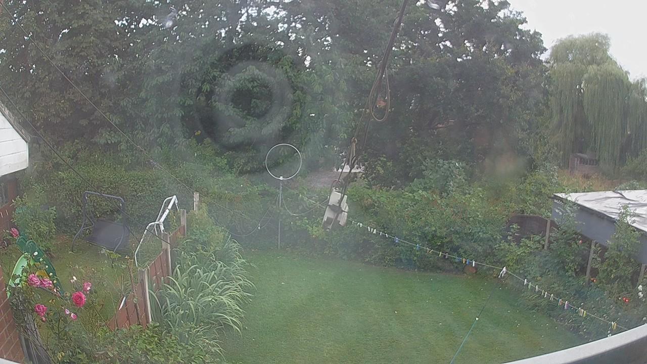 20260805_184530_cam1.jpg