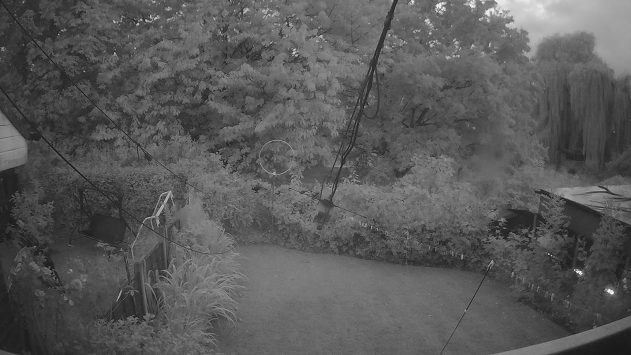 20260805_202303_cam1.jpg