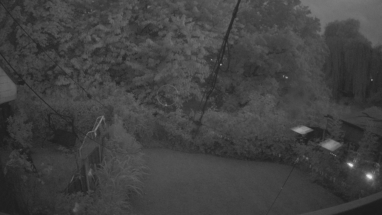 20260805_203820_cam1.jpg
