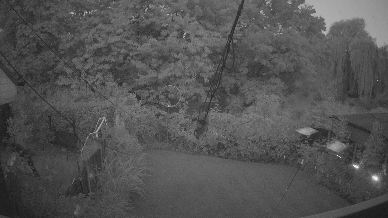 20260806_035208_cam1.jpg