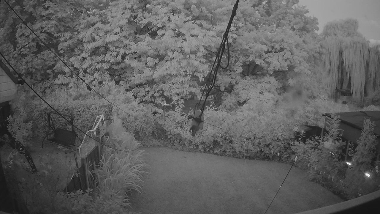 20260806_040009_cam1.jpg