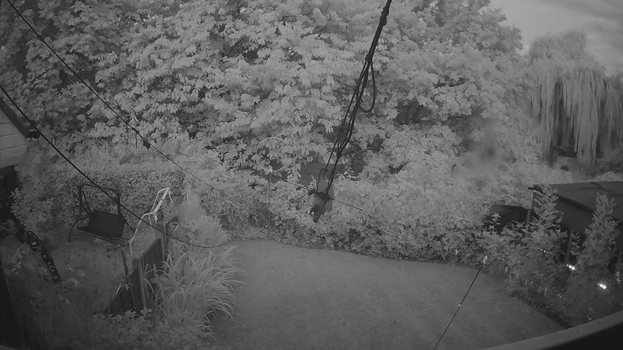 20260806_040409_cam1.jpg