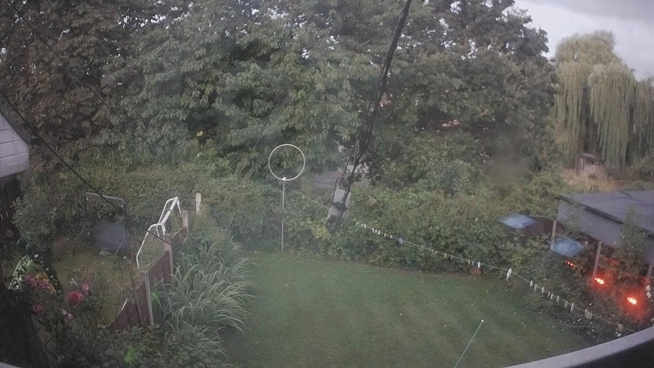 20260806_040811_cam1.jpg