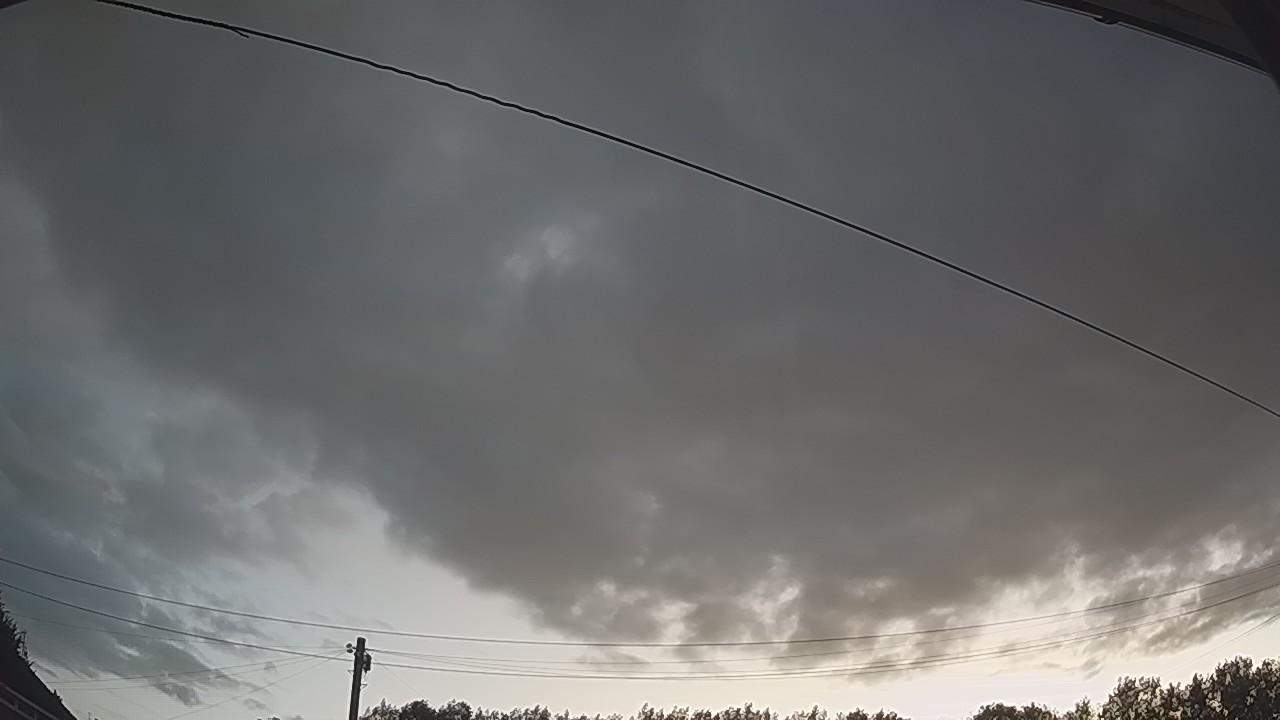 20260806_041211_cam2.jpg