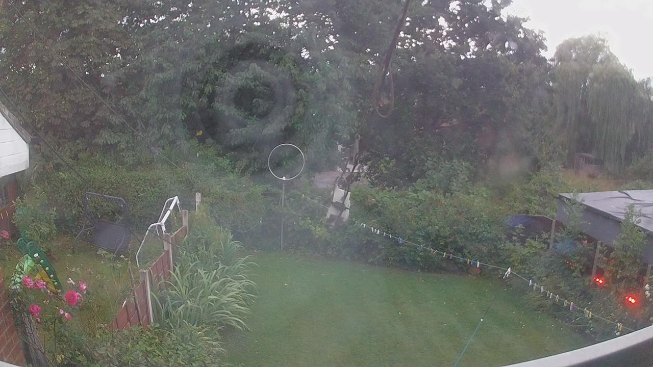 20260806_042810_cam1.jpg